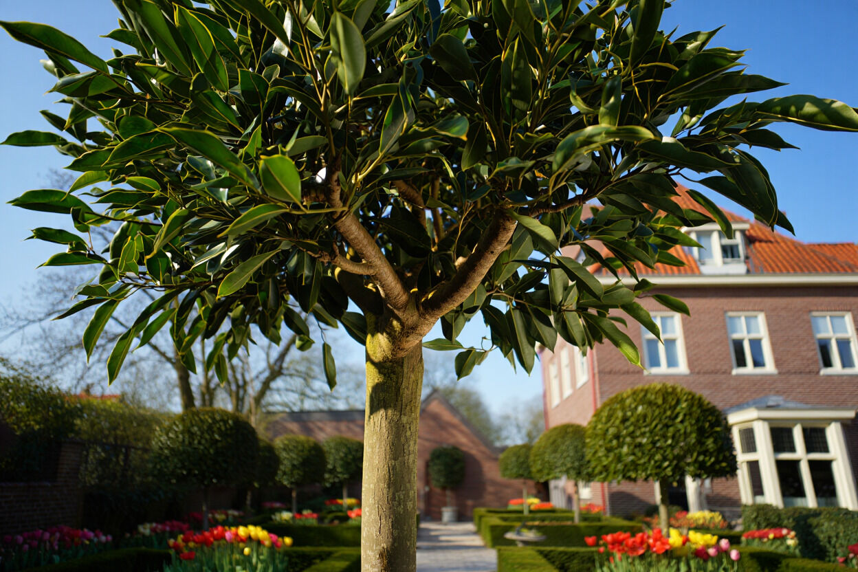 [paste advice page name here]